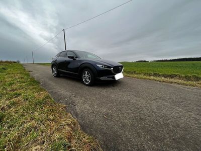 gebraucht Mazda CX-30 M-Hybrid Aut. SELECTION, AHK, Matrix
