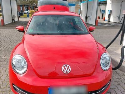 gebraucht VW Beetle 