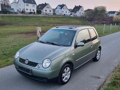 Gebraucht VW Lupo 60 PS (44 kW) 2003 Grün Kleinwagen