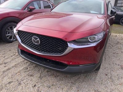 Neu Mazda CX-30 Homura-Line 140 PS (102 kW) 2025 SUV