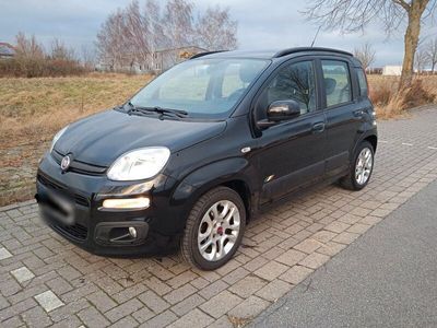 gebraucht Fiat Panda 1.3