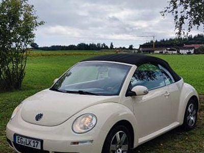 Beige Gebraucht 2006 VW Beetle Cabrio | 5.900 € (Teuer)