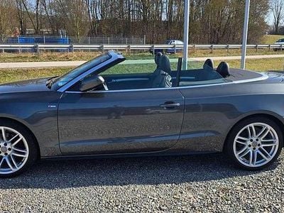 Gebraucht Audi A5 Cabriolet 190 PS (139 kW) 2016 Daytonagrau perleffekt Cabrio