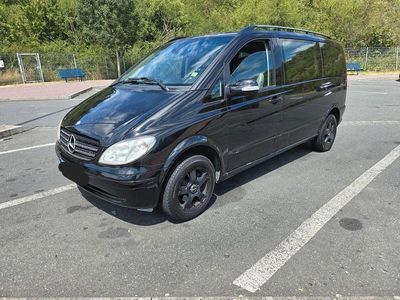 Mercedes Viano
