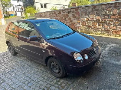 Second-hand VW Polo 64 CP (47 kW) 2003 Andere farben Hatchback
