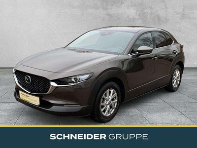 Gebraucht Mazda CX-30 Selection 179 PS (131 kW) 2020 Grau SUV
