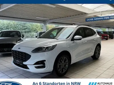 Second-hand Ford Kuga ST-Line X 224 CP (164 kW) 2022 Alb SUV