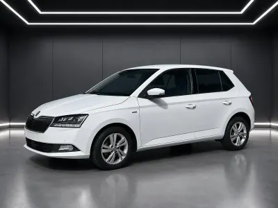 Gebraucht Skoda Fabia Soleil 110 PS (80 kW) 2019 Weiß Kleinwagen