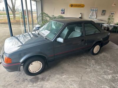 gebraucht Ford Escort 1,3 5 Gang Schiebedach ahk