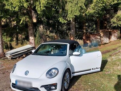 gebraucht VW Beetle 