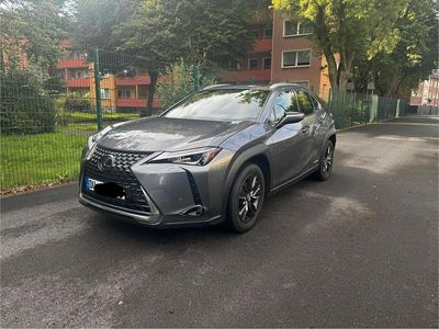 Lexus UX 250h