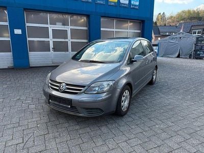 Usata VW Golf Plus Cross Comfortline 116 CV (85 kW) 2005 Grigio Monovolume