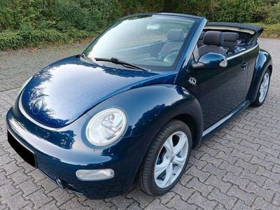 VW Beetle