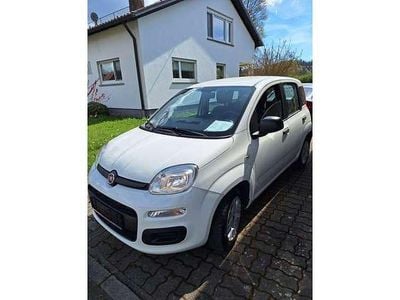 Usata Fiat Panda Easy 69 CV (50 kW) 2017 Bianco Utilitaria