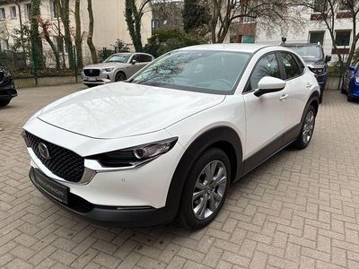 Gebraucht Mazda CX-30 Selection 122 PS (89 kW) 2023 Weiß SUV