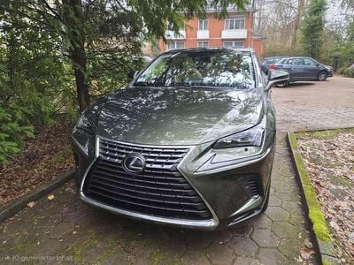 Gebraucht Lexus NX300h E-FOUR Luxury Line 155 PS (114 kW) 2021 Grün SUV