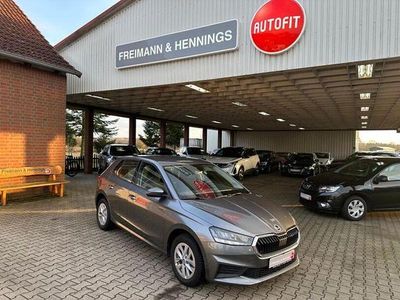 Gebraucht Skoda Fabia Ambition 110 PS (80 kW) 2024 Grau Kleinwagen