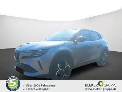 Neu Alfa Romeo Junior Ti 145 PS (106 kW) 2026 Grau SUV