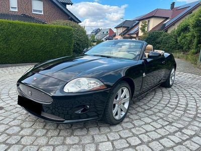 Jaguar XK