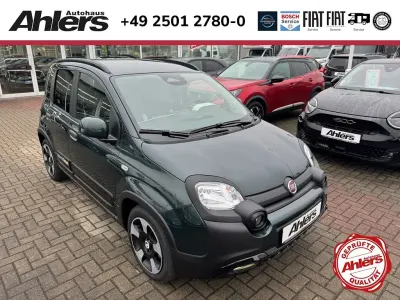 Neu Fiat Panda Cross 65 PS (47 kW) 2026 Gruen Kleinwagen