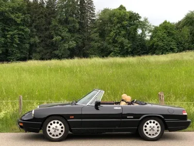 Gebraucht Alfa Romeo Spider 120 PS (88 kW) 1990 Schwarz Cabrio