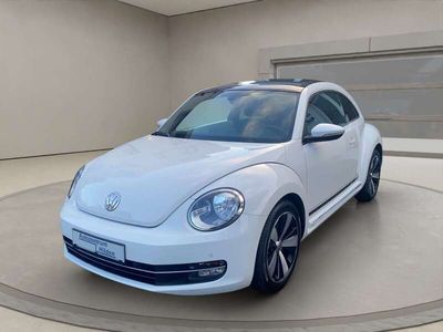 VW Beetle