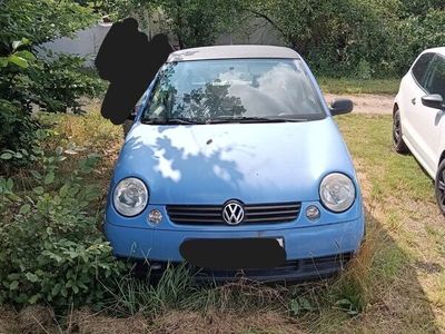 VW Lupo