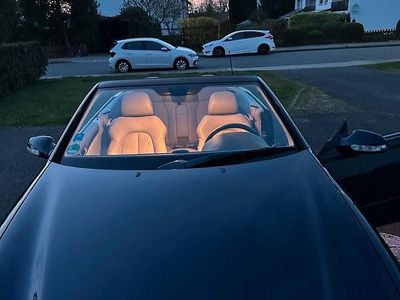 Mercedes CLK230