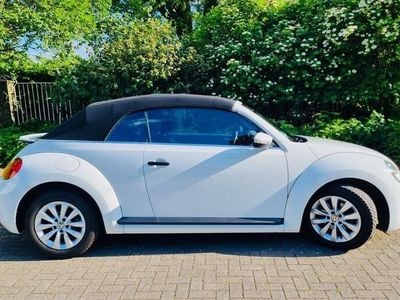 VW Beetle