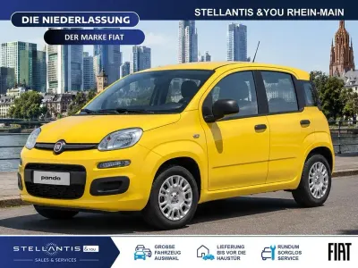 Neu Fiat Panda Icon 65 PS (47 kW) 2026 Gelb Kleinwagen