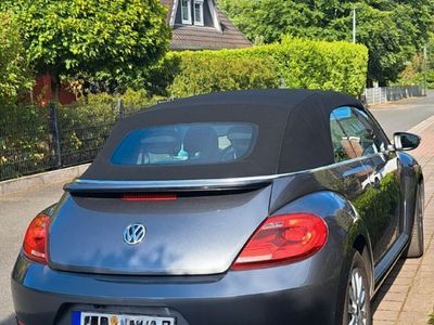 VW Beetle