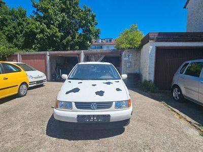 VW Polo
