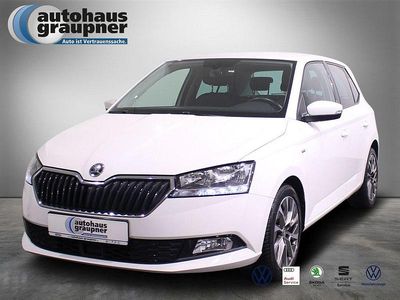 Weiss / candy weiss Gebraucht 2021 Skoda Fabia Clever Kleinwagen | 15.974 € (Fairer Preis)