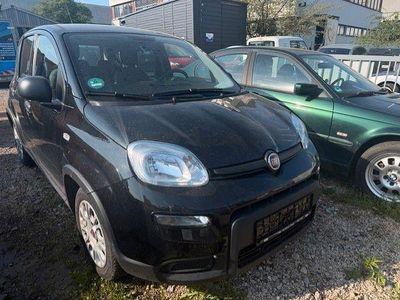 Gebraucht Fiat Panda 69 PS (50 kW) 2022 Nero profondo/cattivo/kyalami/ Kleinwagen