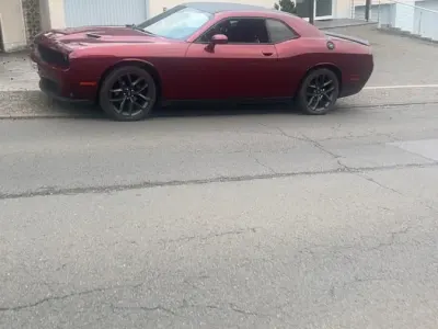 Gebraucht Dodge Challenger 308 PS (226 kW) 2019 Andere farben Coupé