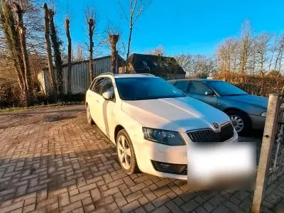 Gebraucht Skoda Octavia 150 PS (110 kW) 2014 Weiß Kombi