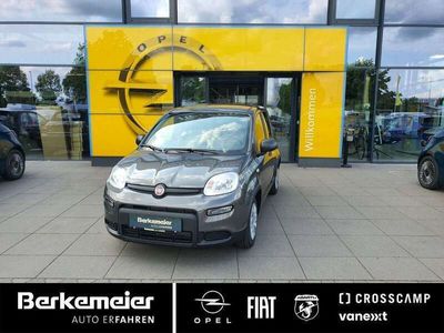 gebraucht Fiat Panda 1,0l 70 PS**5 Radio_Klima_Start&Stopp**