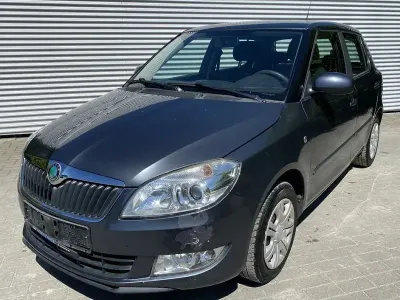 Brugt Skoda Fabia