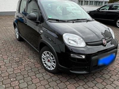 Gebraucht Fiat Panda 69 PS (50 kW) 2023 Schwarz Kleinwagen