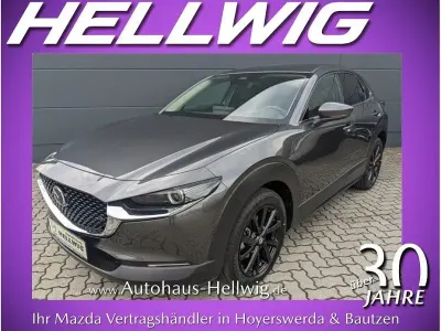 Gebraucht Mazda CX-30 Exclusive 140 PS (102 kW) 2025 Machine grey metallic SUV