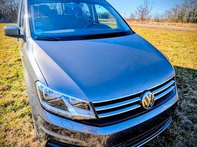 Gebraucht VW Caddy Comfortline 150 PS (110 kW) 2020 Grau Van / Kleinbus