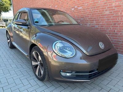 VW Beetle