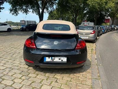 VW Beetle