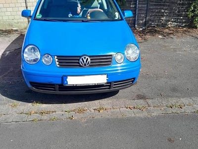 VW Polo