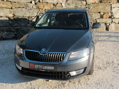 Gebraucht Skoda Octavia Business Line 150 PS (110 kW) 2016 Grau Kombi