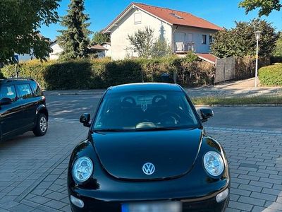 VW Beetle