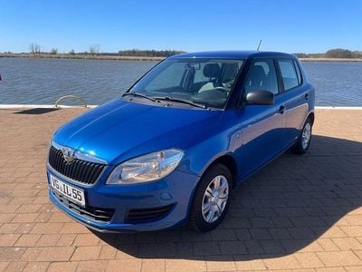 Usata Skoda Fabia Fresh 60 CV (44 kW) 2014 Blu Berlina