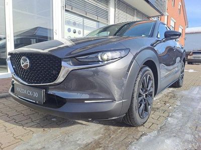 Neu Mazda CX-30 Homura-Line 140 PS (102 kW) 2025 SUV