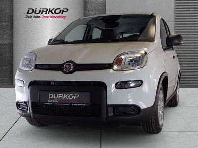 Fiat Panda Cross