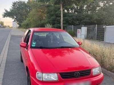 VW Polo